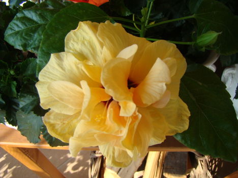 2010 aug 13 006