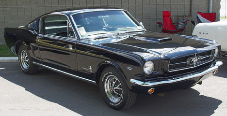 Mustang14