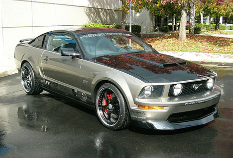Mustang15