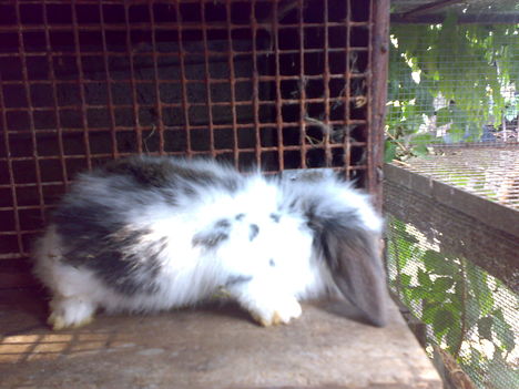 20100920305