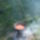 Dscf5381_883786_38071_t