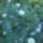 Kertunkbol-057_883445_38655_t