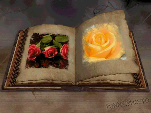 Rózsák könyve