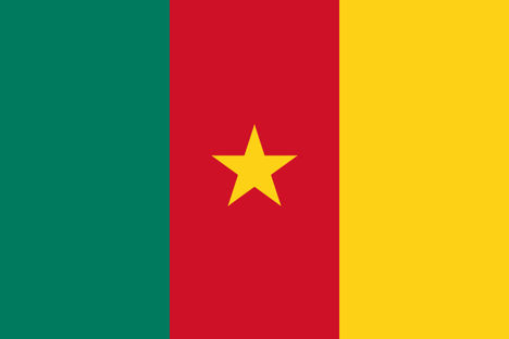 600px-Flag_of_Cameroon