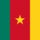 600pxflag_of_cameroon_884142_87420_t