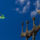 60821520__dsc0038_884118_33397_t