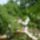 Kep_001_884807_69484_t