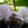 P1030847_884335_10039_t