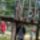 Tura_a_bakonyban_9_884496_18006_t