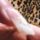 Munkaim_019_885020_19126_t