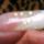 Munkaim_021_885022_70937_t