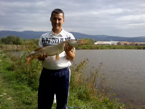 Oszi csuka 3,30 kg