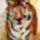 Tigris_i_886509_27395_t