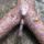 Bizarrr_887265_25904_t