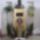 Cimg2871_887875_72687_t