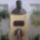 Cimg2872_887874_30169_t