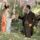 Gesa_kina_887179_50025_t