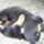 Jatek_887129_46876_t