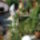 Kep_285_887122_80440_t