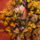 Kep_325_887140_75482_t