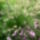 Kep_447_887142_84669_t