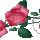 A_beke_eneke_4_889988_20112_t