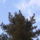 A_csucson_889994_61923_t