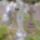 A_halotak_napja_889181_54796_t