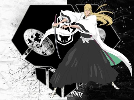 bleach hirako shinji