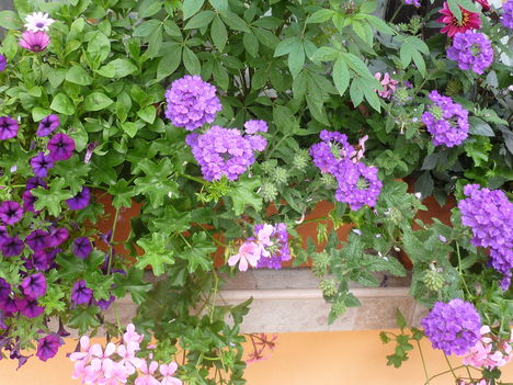 20100717 003