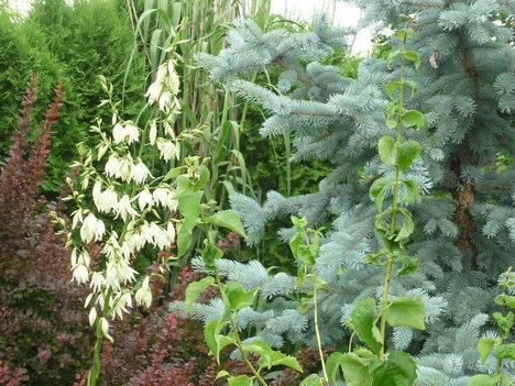 20100717 031