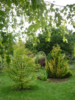 20100717 033