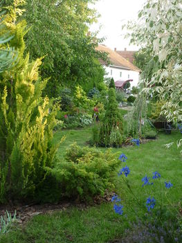 20100717 080