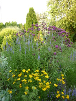 20100717 087