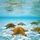 Aquario_88868_059290_t