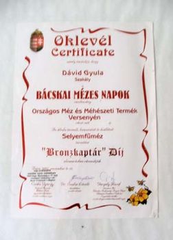 Bronzkaptár díj plakett - 2002.