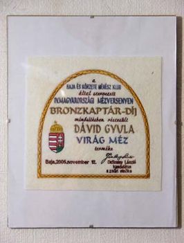 bronzkaptár díj plakett - 2005