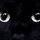 Cica268_88891_721667_t