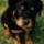 Images_88917_236237_t