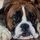 Kutya820_88921_909640_t