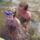 Matemili_026_880633_35020_t
