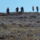 Pag2010_076_880104_74728_t