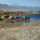 Pag2010_100_880068_85159_t