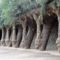 4750565-Parc_Guell-Barcelona