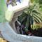 4839404-Parc_Guell-Barcelona