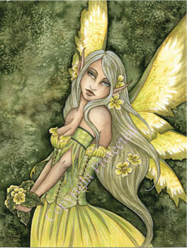 fairy 12