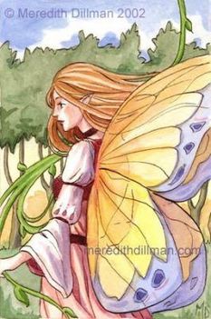 fairy 33