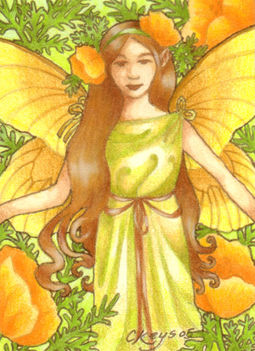 fairy 37