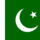 Flag_of_pakistan_894727_13799_t