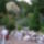 20100717_094_898740_38536_t